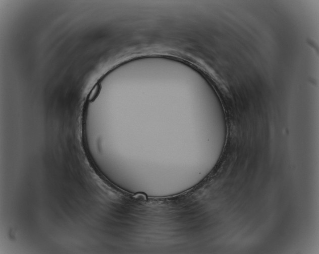 X0000091851512200709261157