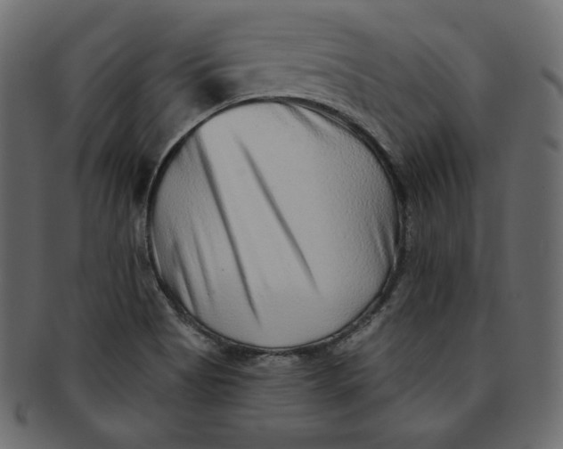 X0000091851513200709261157