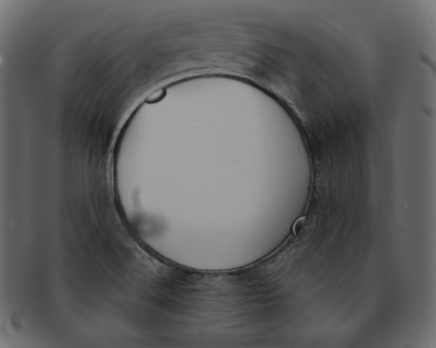 X0000091851516200709261157