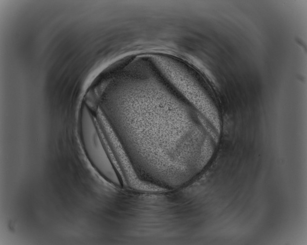 X0000091851520200709261157