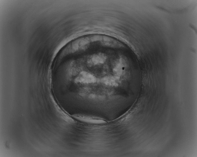 X0000091851522200709261157