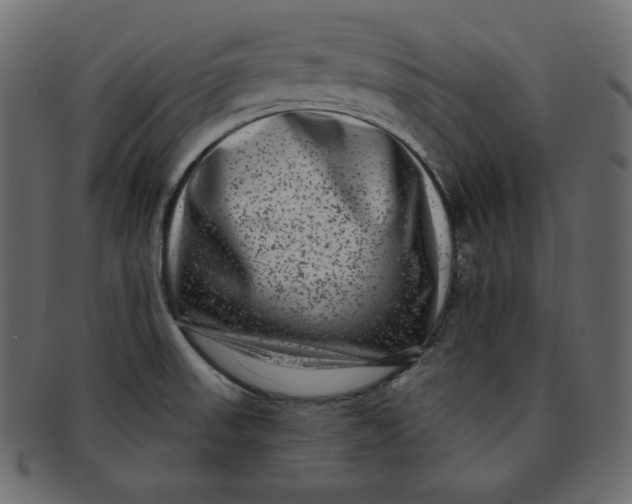 X0000091851523200709261157