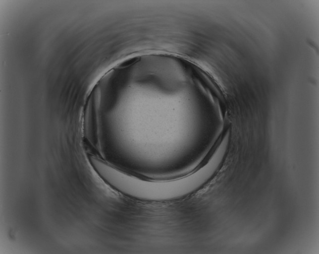 X0000091851524200709261157