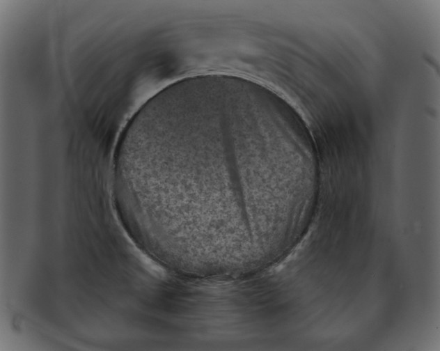 X0000091851525200709261157