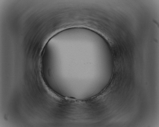 X0000091851526200709261157