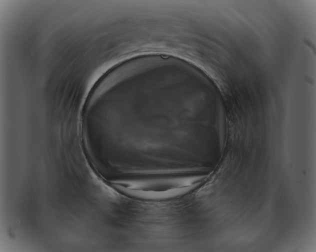 X0000091851527200709261157