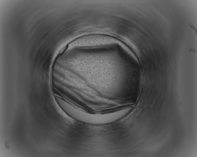 X0000091851528200709261157