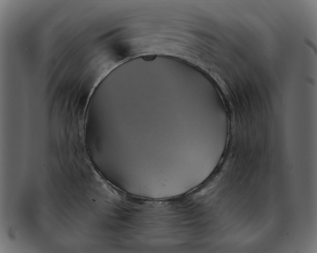 X0000091851529200709261157