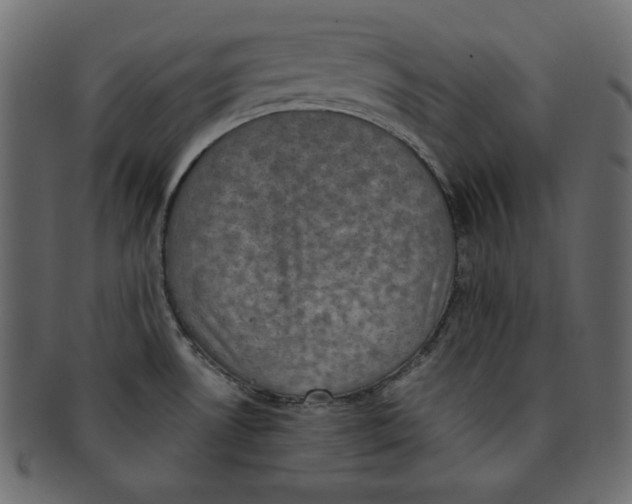 X0000091851530200709261157