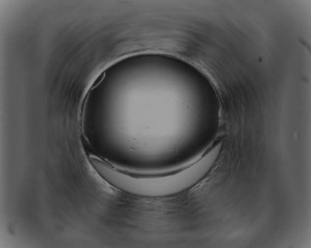 X0000091851532200709261157