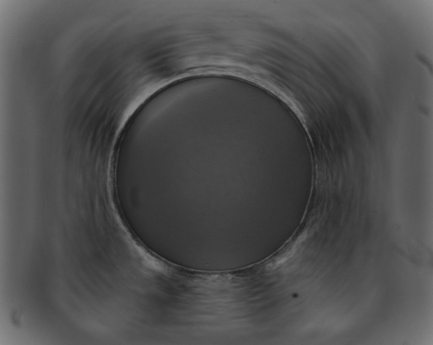 X0000091851533200709261157