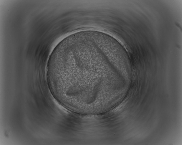 X0000091851535200709261158