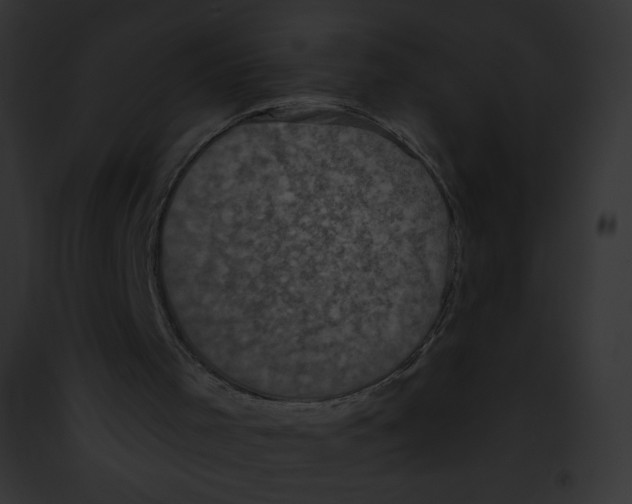 X0000091850001200710031029