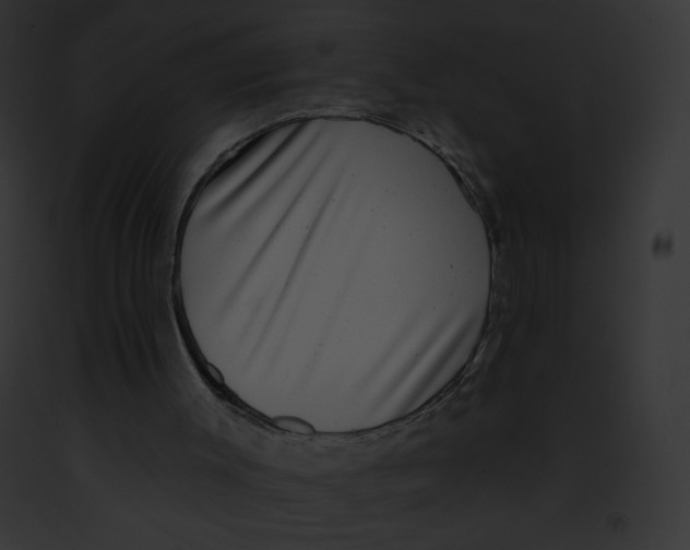 X0000091850003200710031029