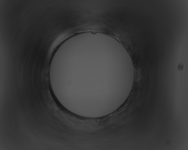 X0000091850004200710031029