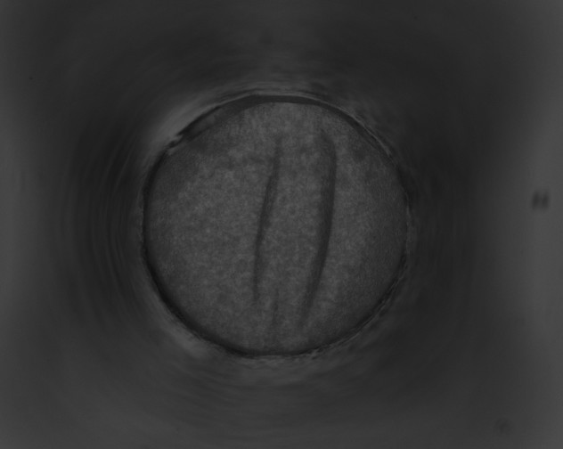 X0000091850005200710031029