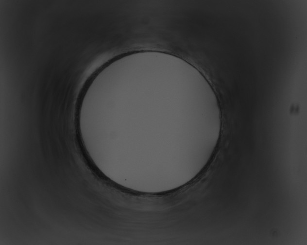 X0000091850008200710031029