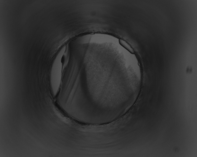 X0000091850009200710031029