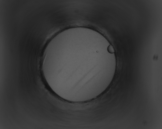 X0000091850010200710031029