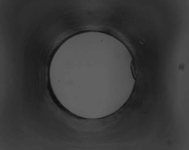 X0000091850011200710031029