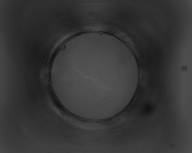 X0000091850012200710031029