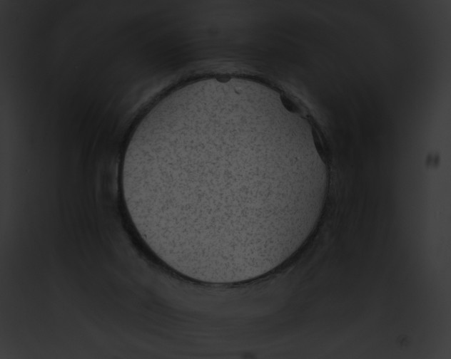 X0000091850014200710031029