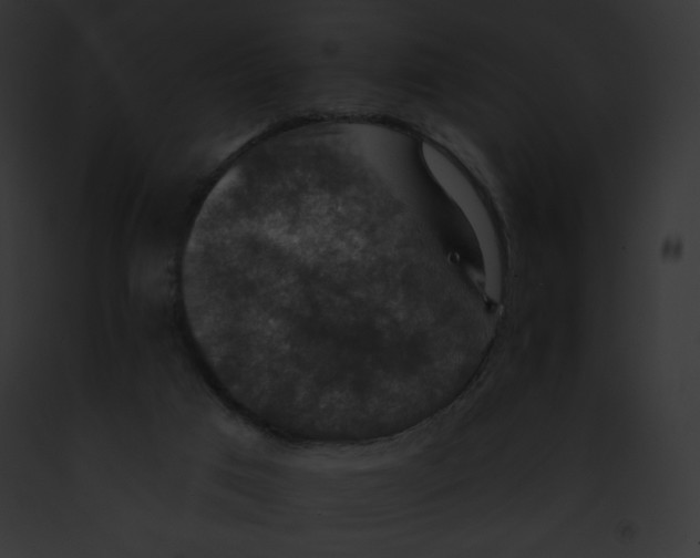 X0000091850017200710031029