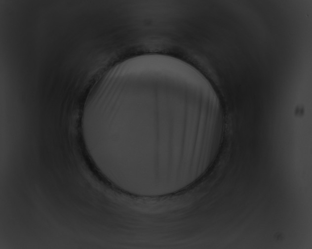 X0000091850018200710031029