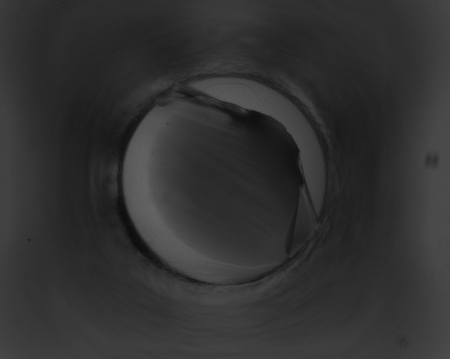X0000091850019200710031029