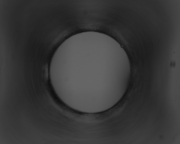 X0000091850020200710031029