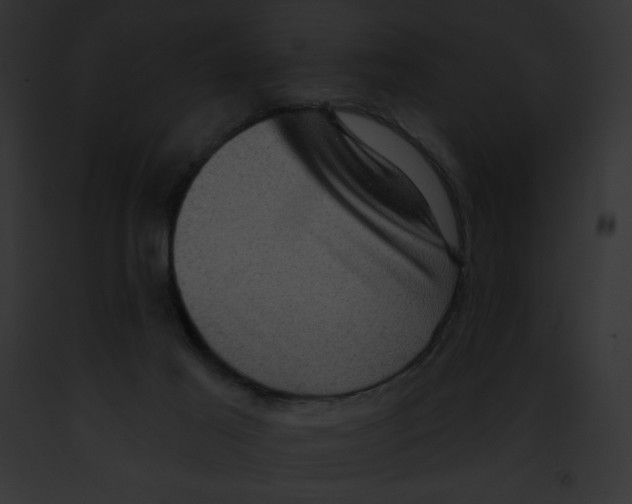 X0000091850021200710031029