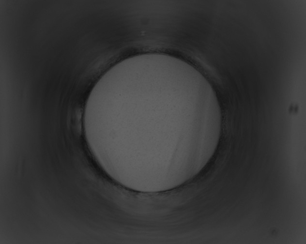 X0000091850022200710031029