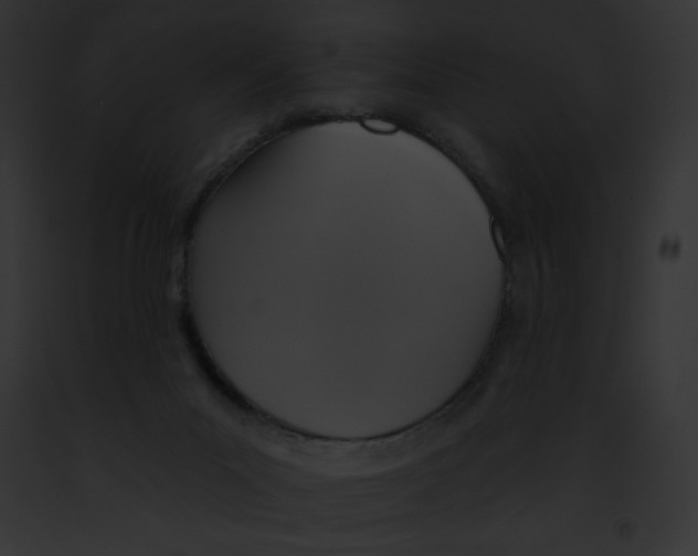 X0000091850023200710031029