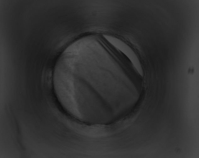 X0000091850024200710031029