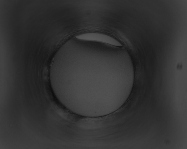 X0000091850025200710031029