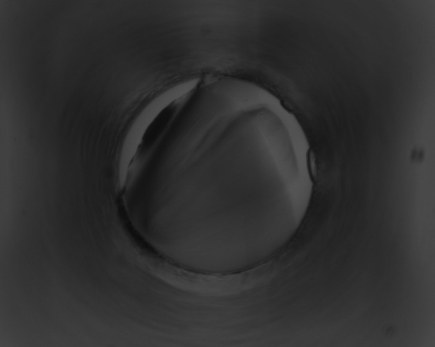 X0000091850027200710031029