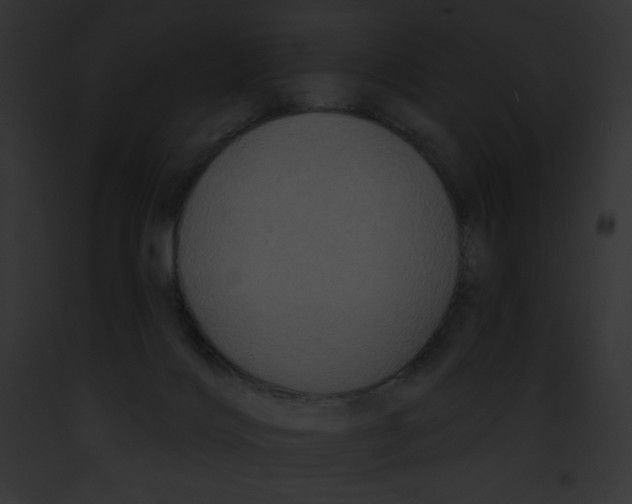 X0000091850028200710031029