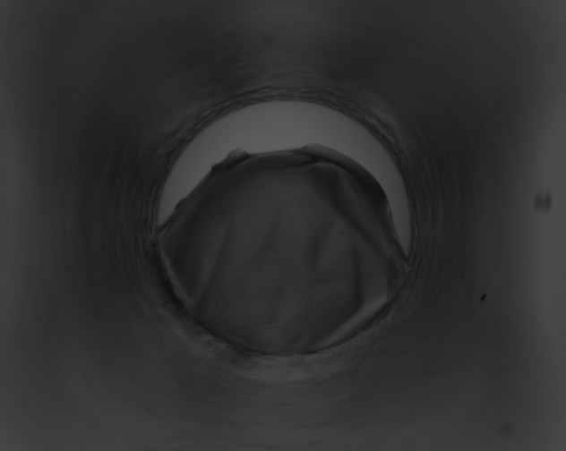 X0000091850029200710031029