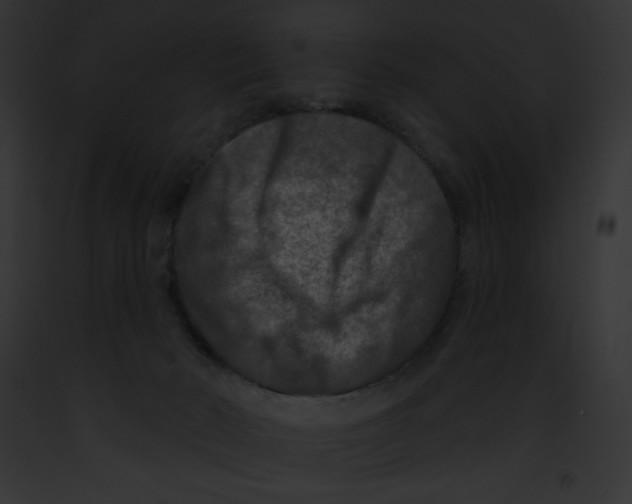 X0000091850030200710031029