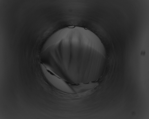 X0000091850031200710031029