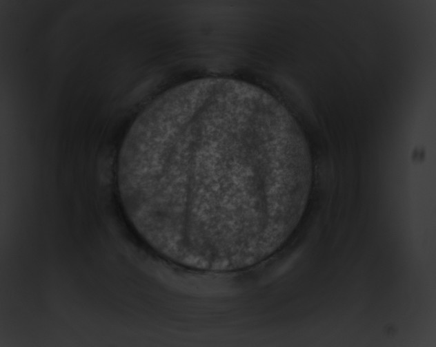 X0000091850032200710031029