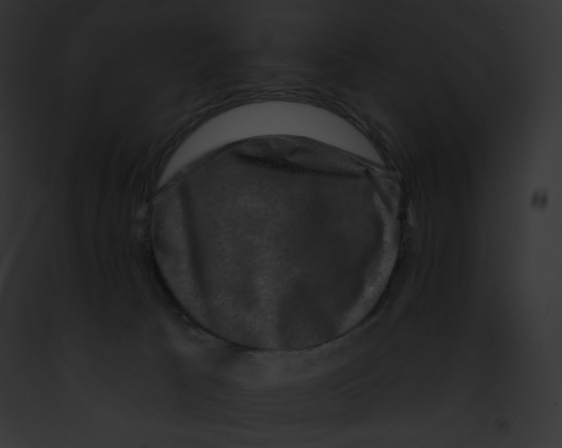 X0000091850033200710031029