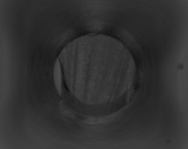 X0000091850037200710031029