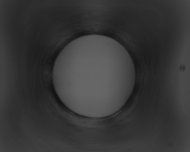 X0000091850040200710031029
