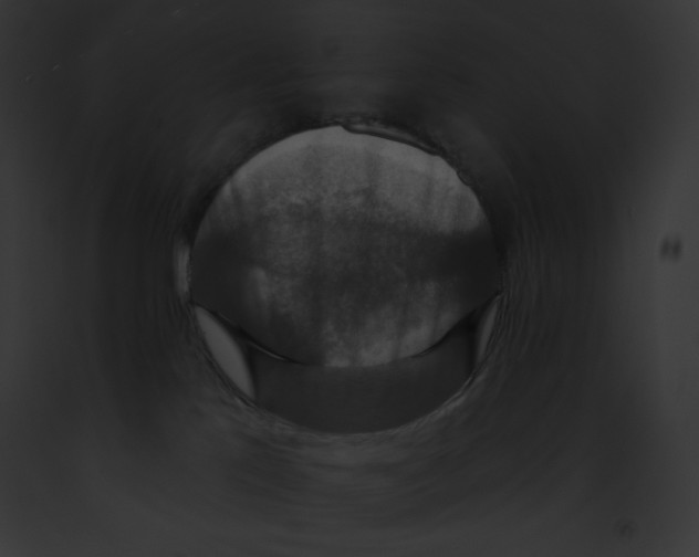 X0000091850041200710031029