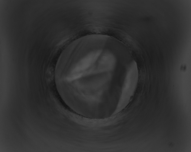 X0000091850043200710031029