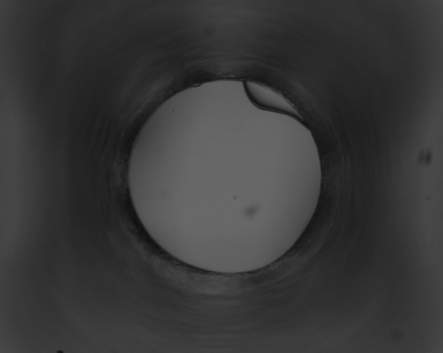 X0000091850044200710031029