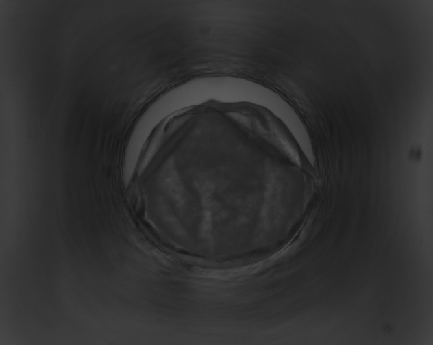 X0000091850045200710031029