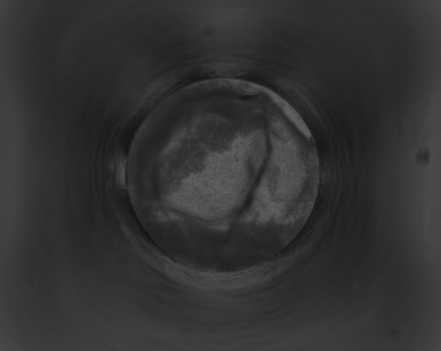 X0000091850046200710031029