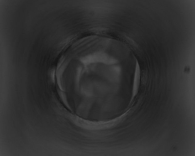 X0000091850047200710031029